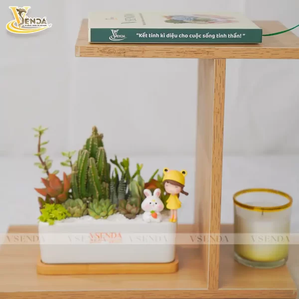 Chậu Sen Đá Mảnh Ghép Nhỏ - Hình ảnh 2