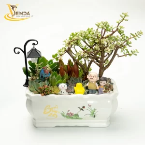 Chậu sen đá Bách Điền