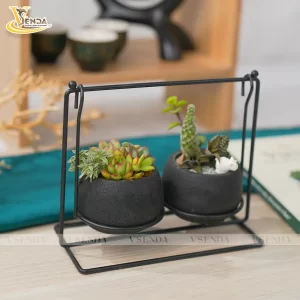Chậu Sen Đá Xích Đu