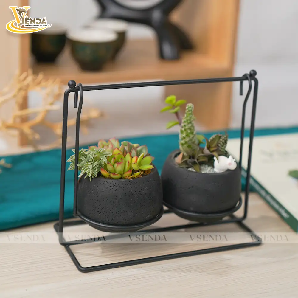 Chậu Sen Đá Xích Đu