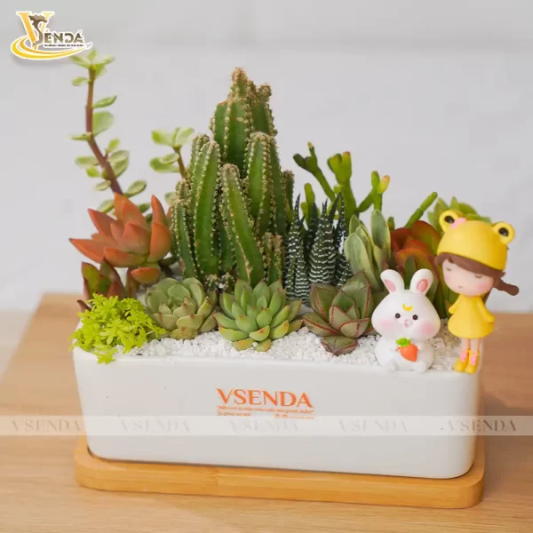 Chậu Sen Đá Mảnh Ghép Nhỏ - Hình ảnh 3