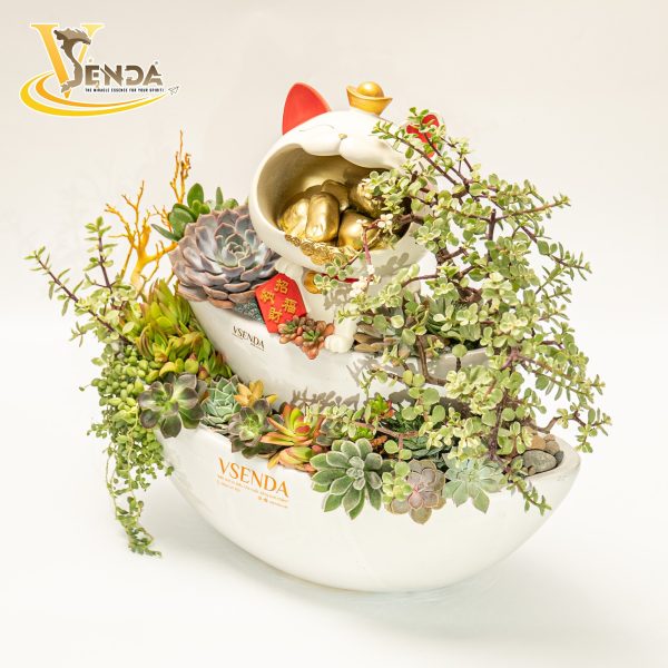 Cung Hỉ Phát Tài - Hình ảnh 2