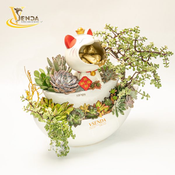 Cung Hỉ Phát Tài - Hình ảnh 3