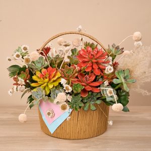 GIỎ ĐAN MÂY TRÒN MẪU MỚI