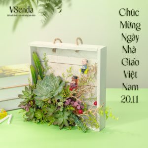 Sen Đá Khắc Ghi