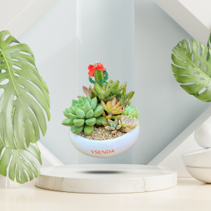Sen Đá Tiểu Cảnh Sắc Xanh