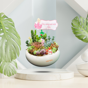 Sen Đá Tiểu Cảnh Vườn Tuyết