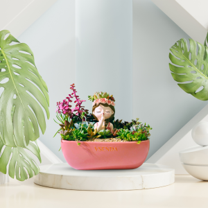 Sen Đá Tiểu Cảnh Nắng Hồng