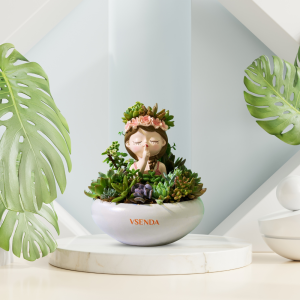 Tiểu Cảnh Sen Đá Mộng Mơ
