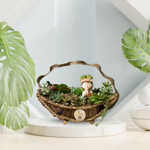 Giỏ Sen Đá Tiểu Cảnh Diệu Kỳ