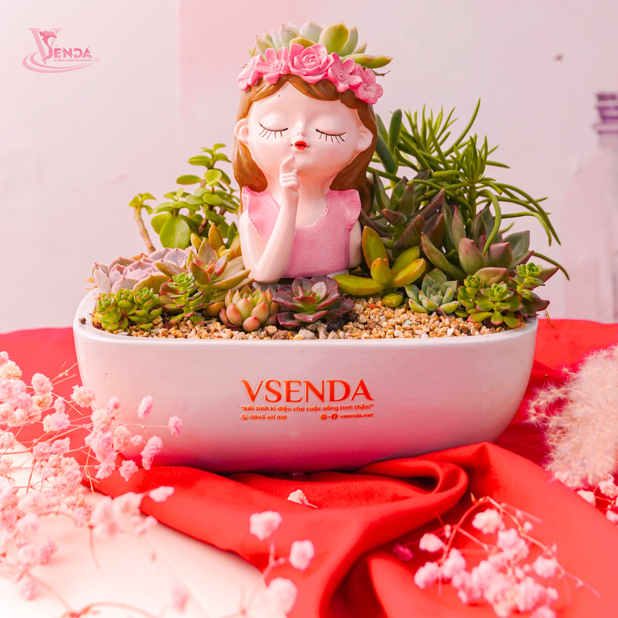 Chậu Sen Đá Ang Thuyền Cô Gái Valentine