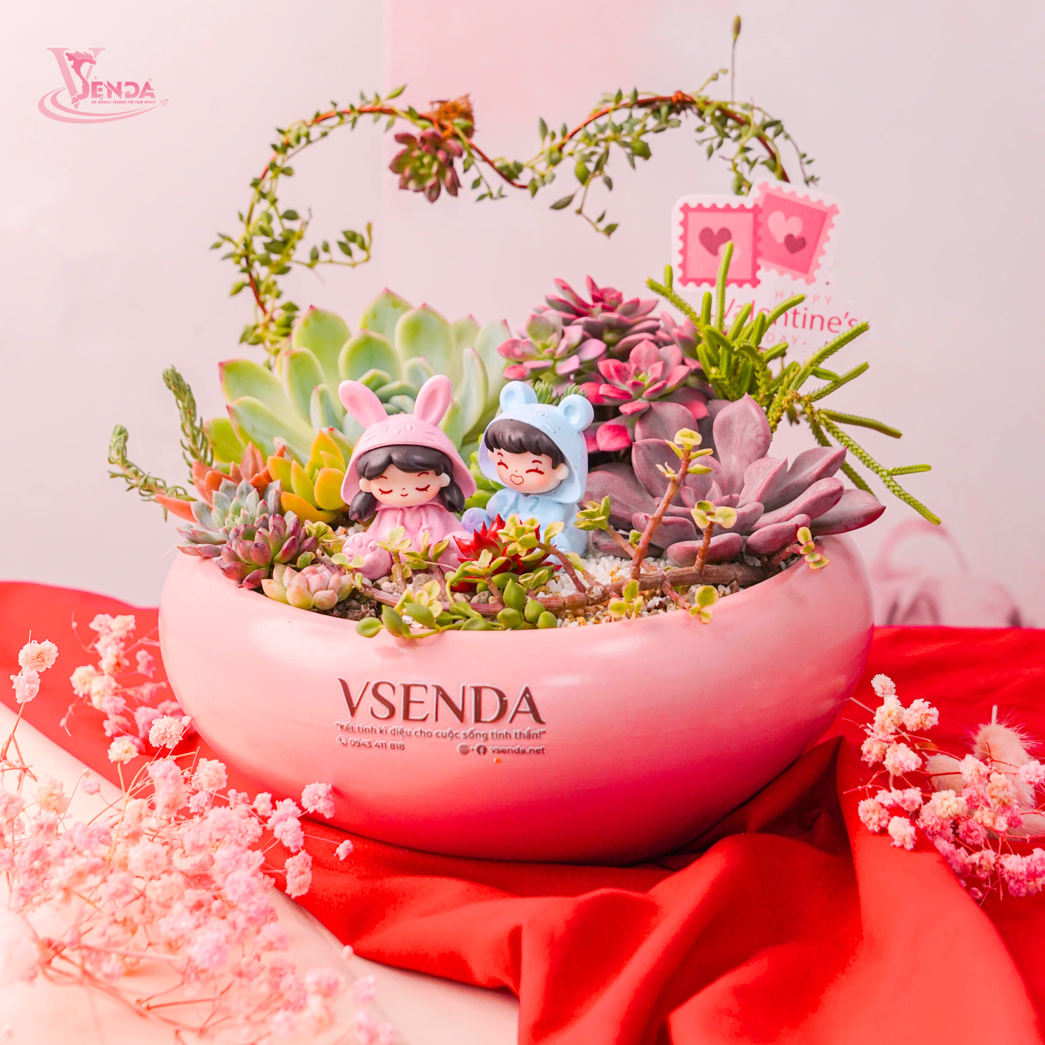 Chậu Sen Đá Hồng Valentine