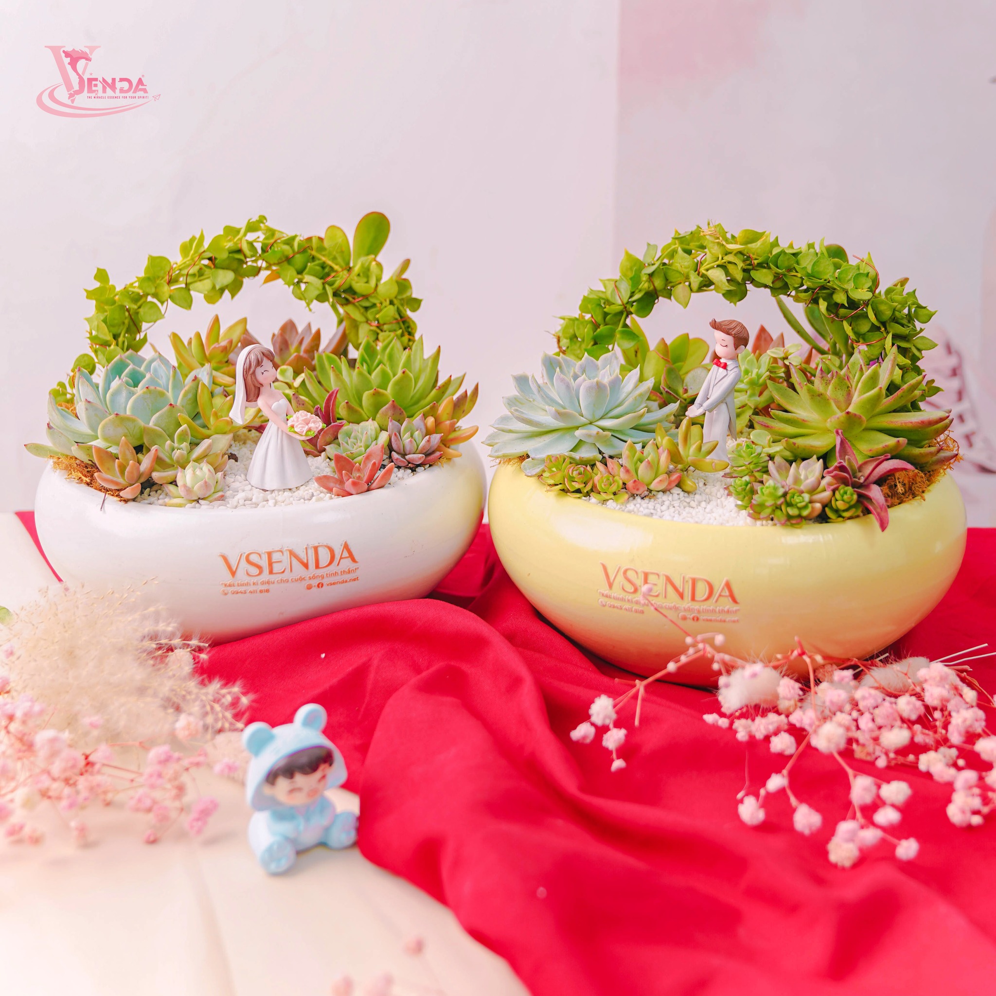 Chậu Hoa Sen Đá Ang Tròn Couple Valentine