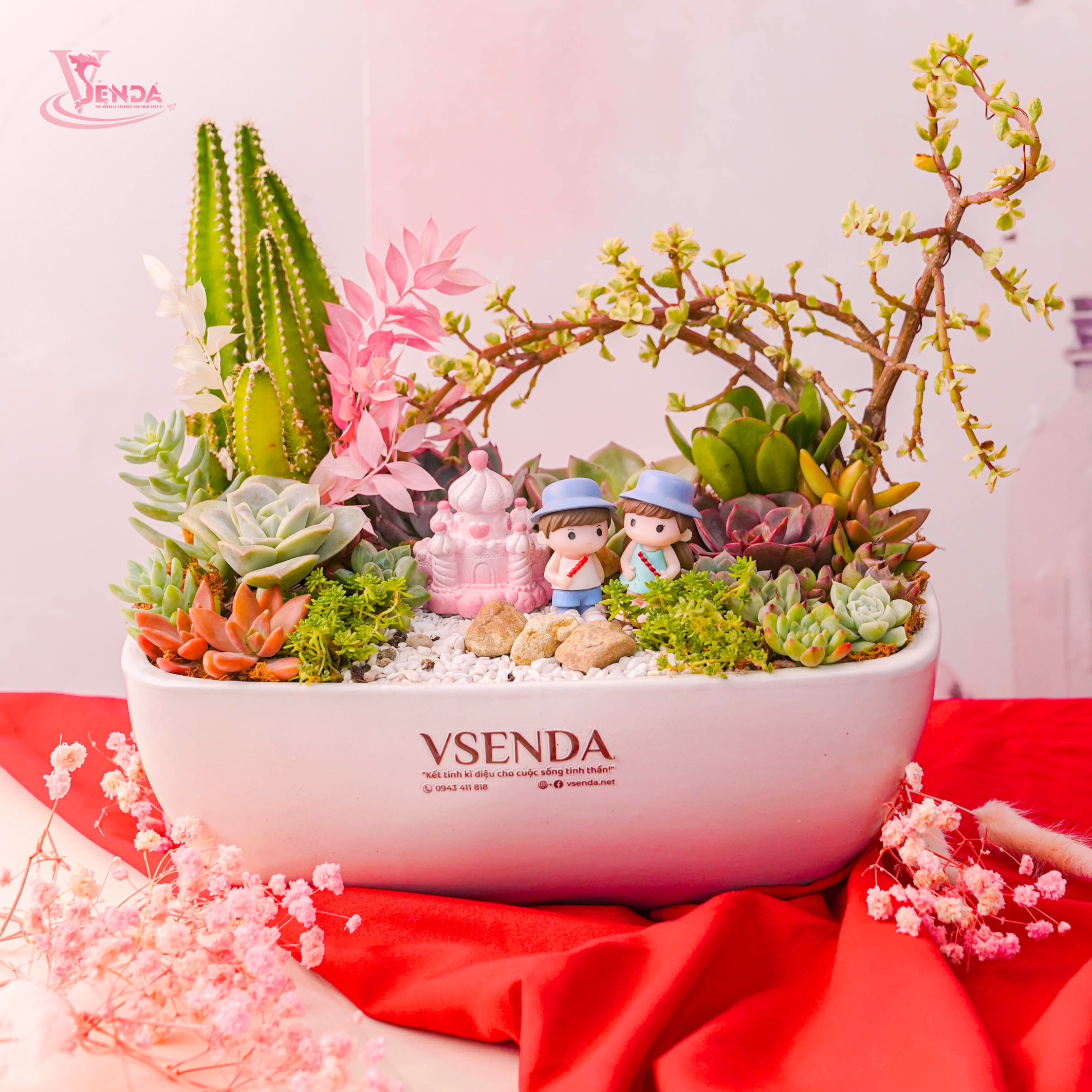 Chậu Sen Đá Ang Thuyền Trắng Valentine
