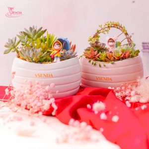 Hoa Sen Đá Chậu Thỏi Vàng Couple Valentine