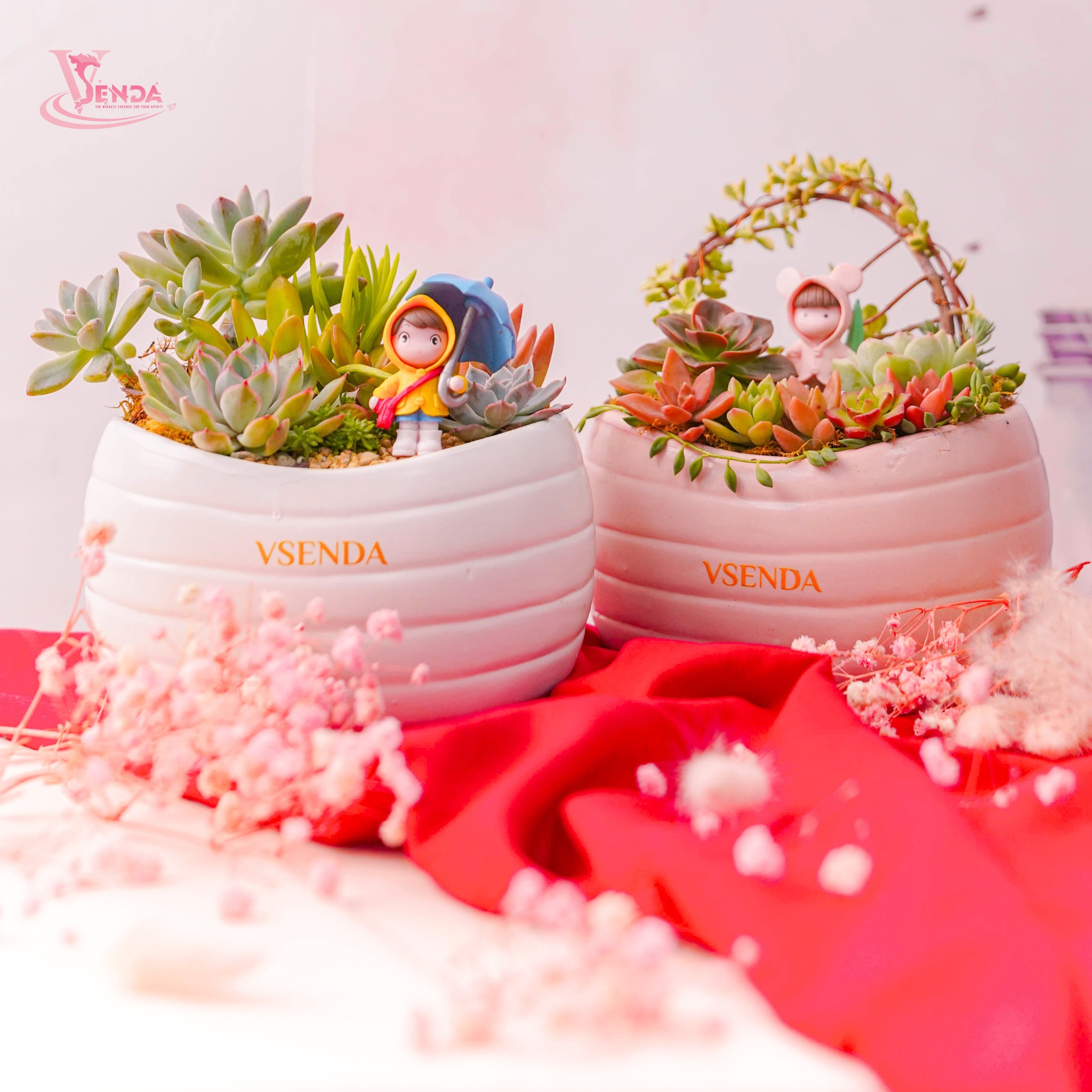 Hoa Sen Đá Chậu Thỏi Vàng Couple Valentine