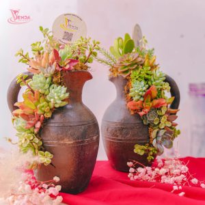 Bàu Trúc Sen Đá Couple Valentine