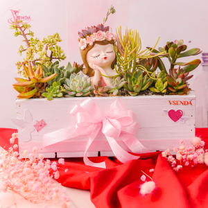 Chậu Gỗ Sen Đá Cô Gái Valentine