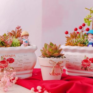 Hoa Sen Đá Chậu Ang Chữ Nhật Couple Valentine