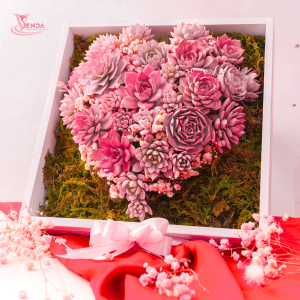 Sen Đá Bánh Kem Valentine