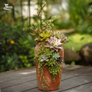 Sen Đá Bàu Trúc Nghệ Thuật 1