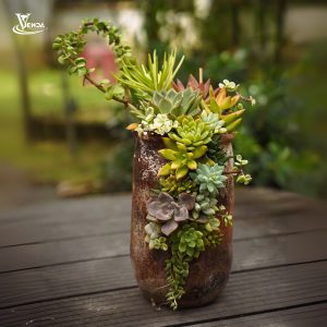 Sen Đá Bàu Trúc Nghệ Thuật 3