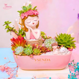 Tiểu Cảnh Sen Đá Cô Gái Chậu Mix Hồng