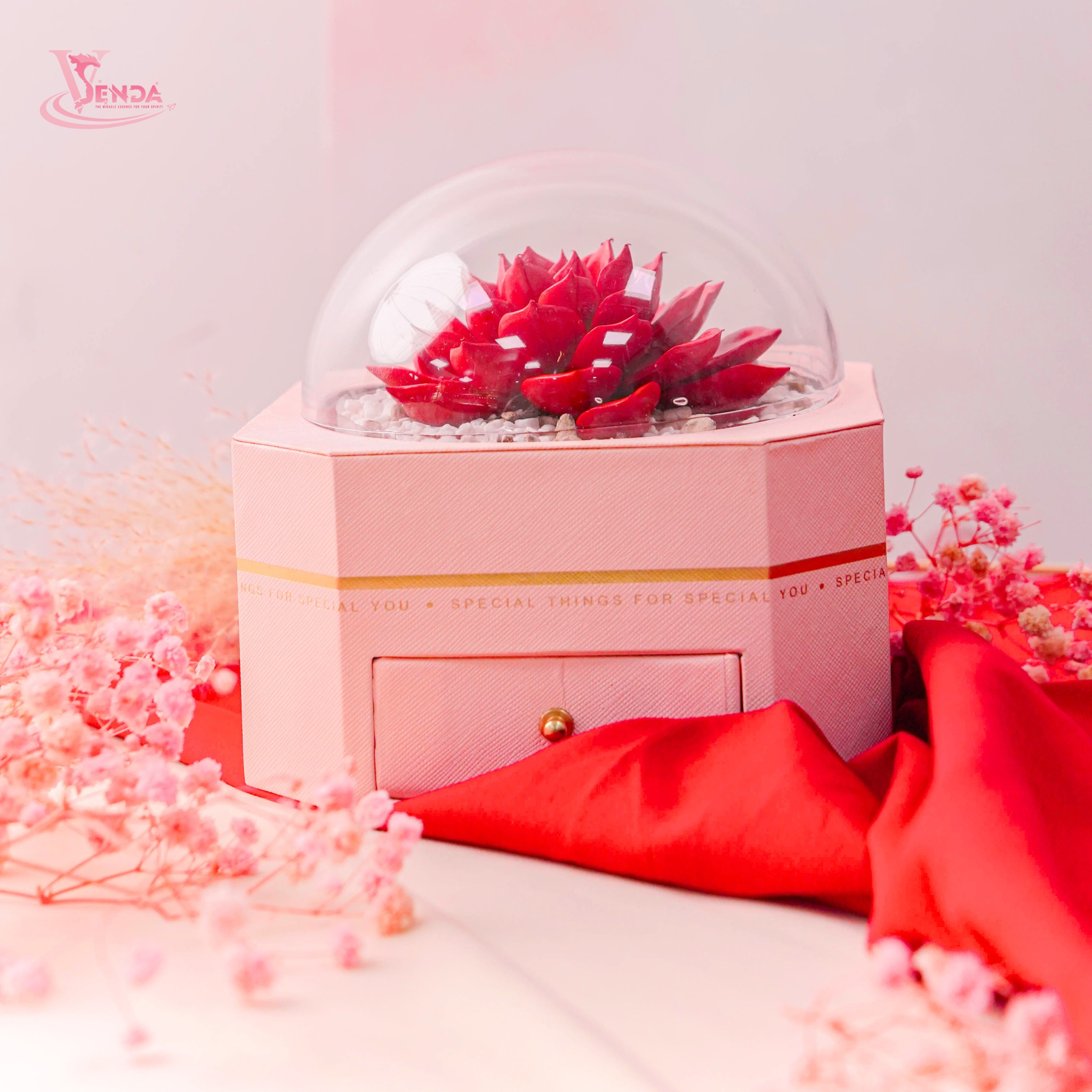 Sen Đá Quà Tặng Xinh Xắn Valentine